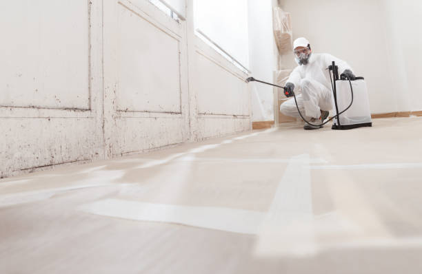 24/7 Emergency Commercial Mold Remediation experts in Ottsville, PA